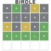 Birdle
