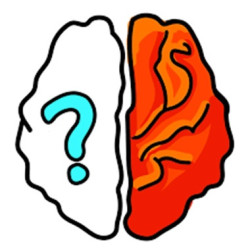 Play Brain Out now!