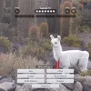 Explordle
