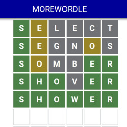 Play More WORDLE now!