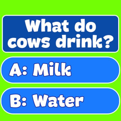 Play Trivia! Best Family Quiz now!